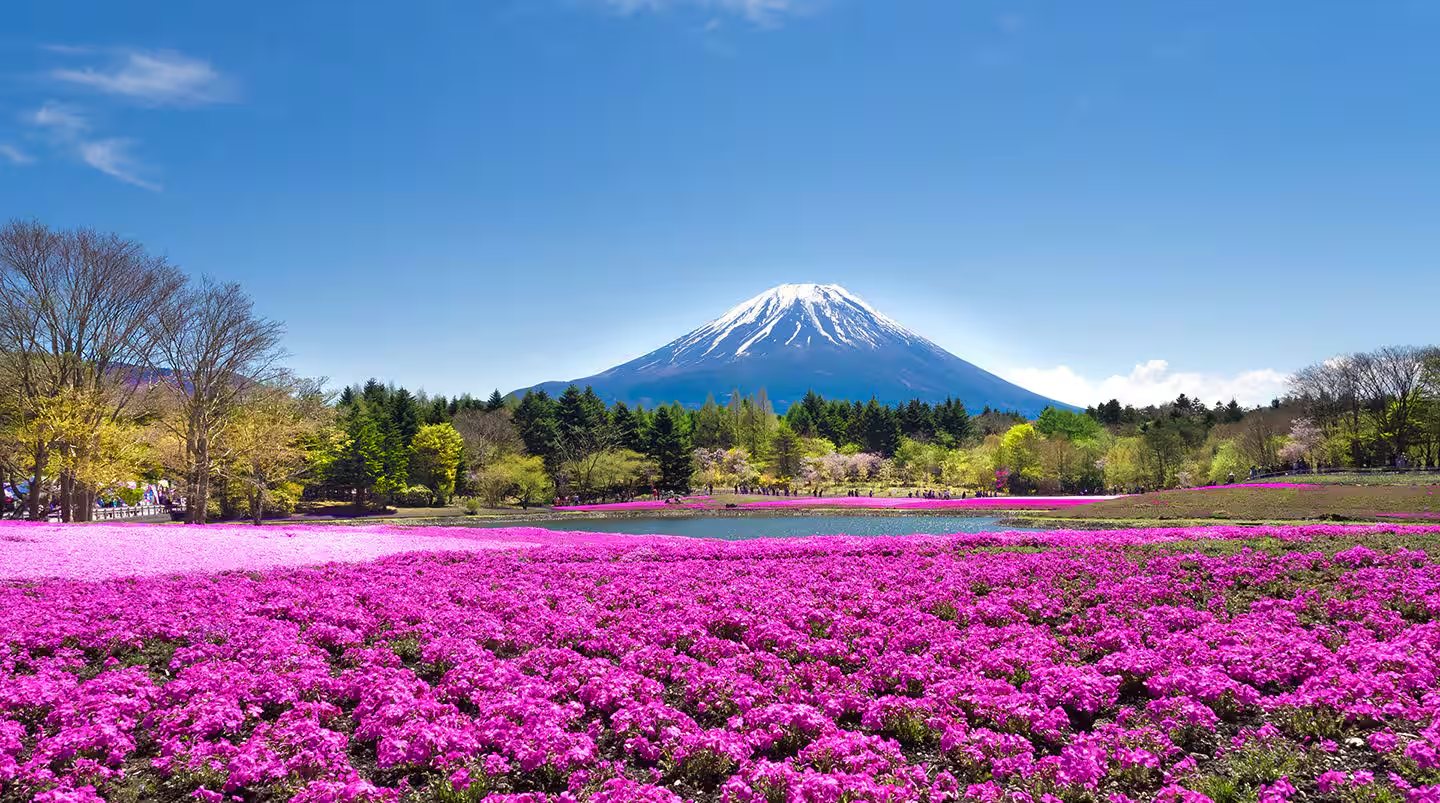 Norwegian Jade ile 9 Gece Japonya ve Güney Kore Seferi